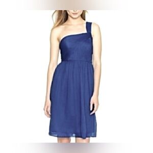 NWT J. Crew Lucienne Silk Chiffon Dress